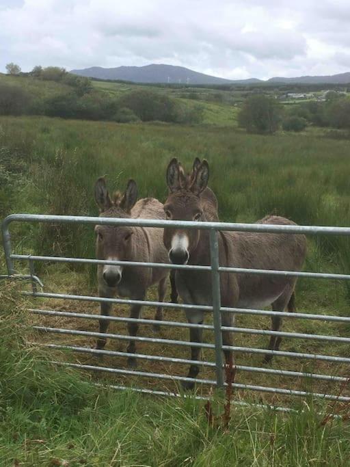 Bumblebee Cottage Donegal Town Exterior foto